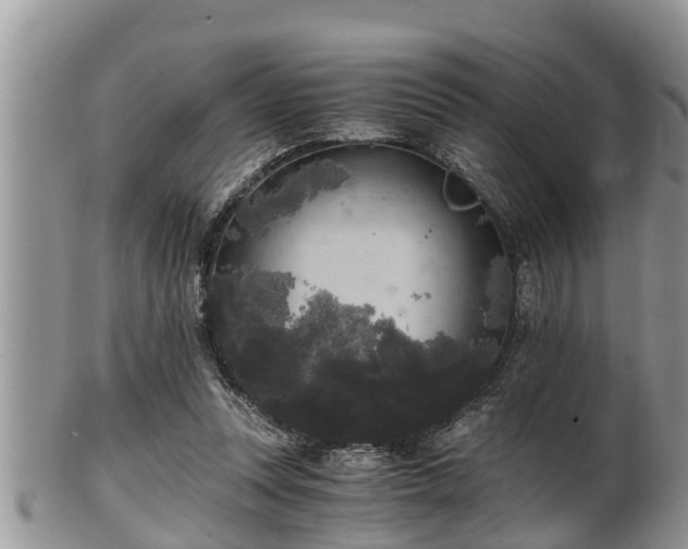 X0000102300351200808011545