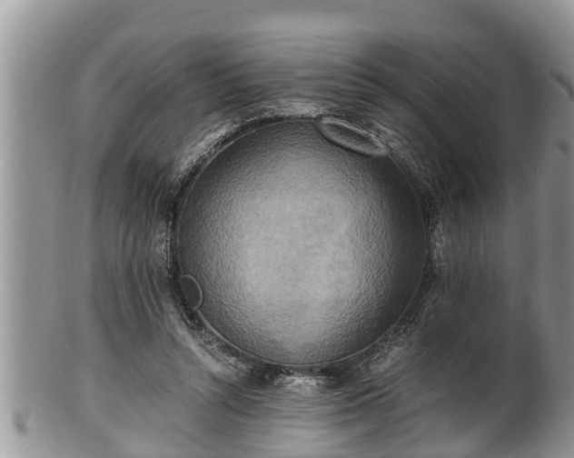 X0000102300352200808011545