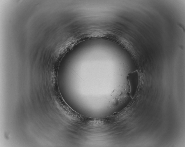 X0000102300354200808011545