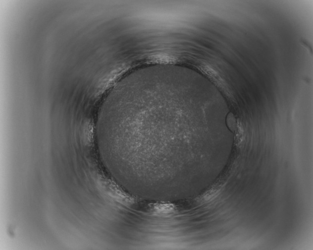 X0000102300355200808011545