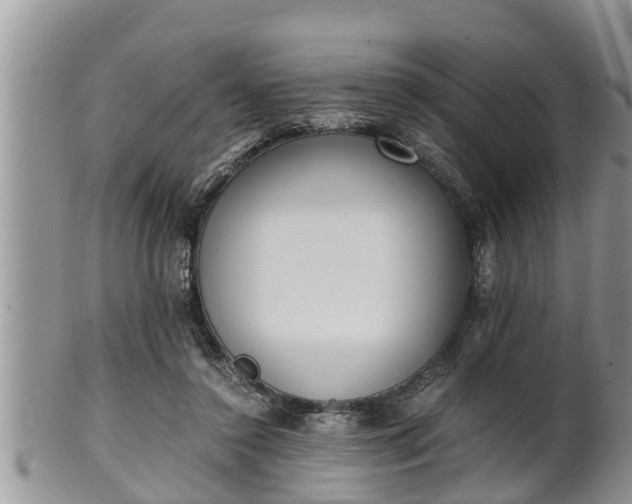 X0000102300356200808011545