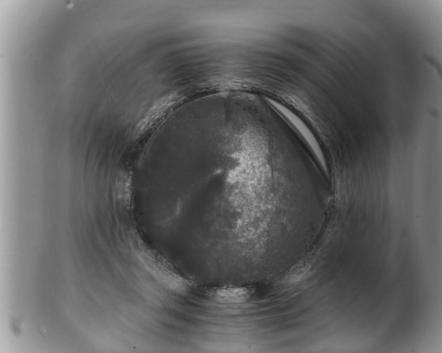 X0000102300357200808011545