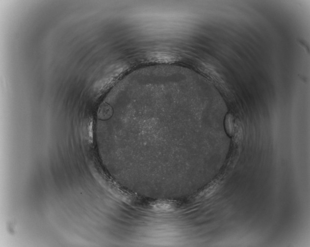 X0000102300358200808011545