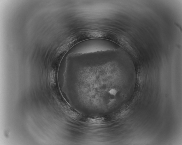 X0000102300359200808011545