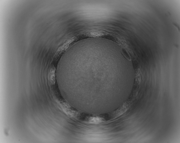 X0000102300360200808011545