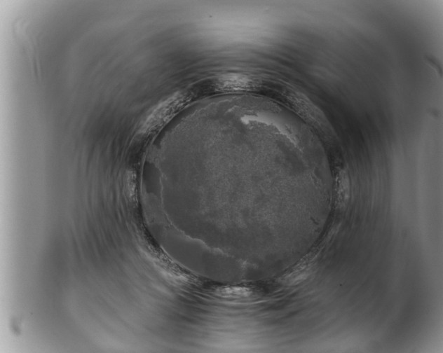 X0000102300361200808011545