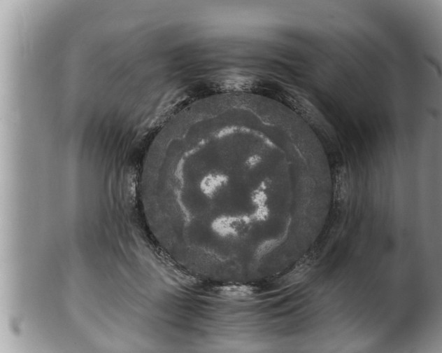 X0000102300363200808011545