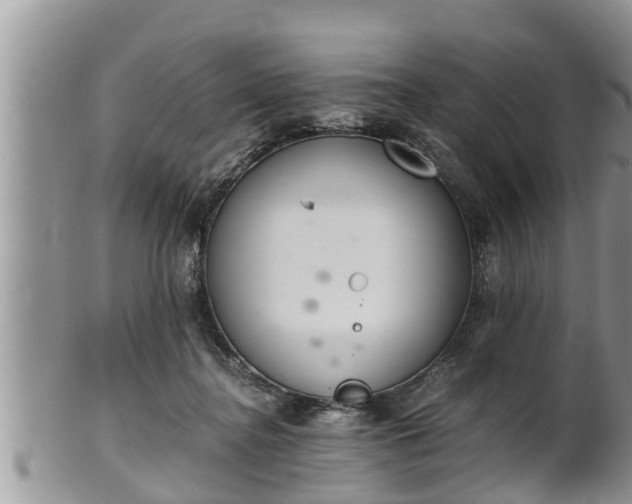 X0000102300364200808011545