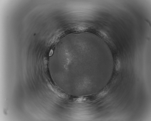 X0000102300366200808011545