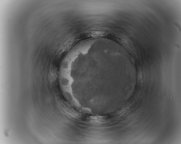 X0000102300367200808011545