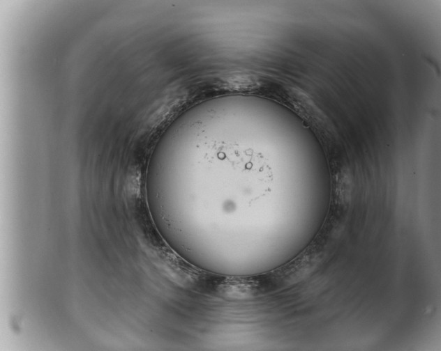 X0000102300368200808011545