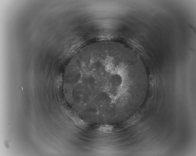 X0000102300369200808011545