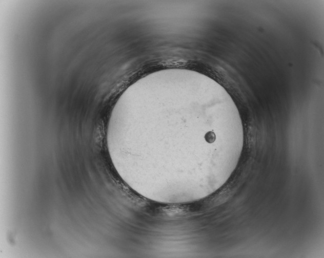 X0000102300370200808011545