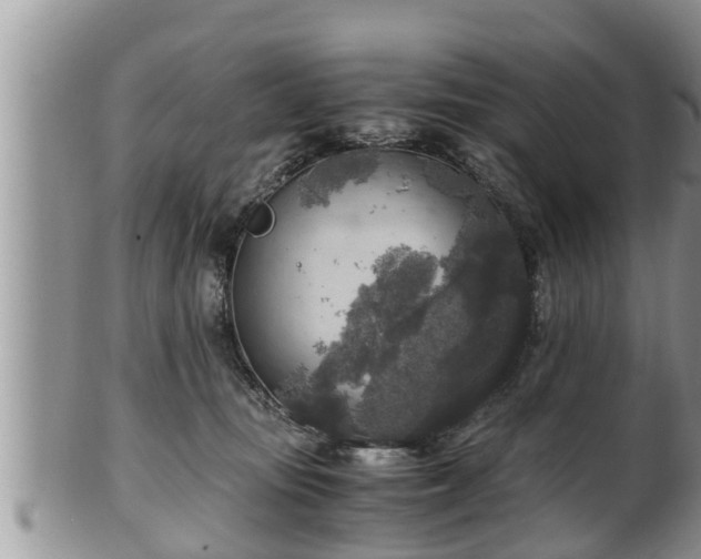 X0000102300371200808011545