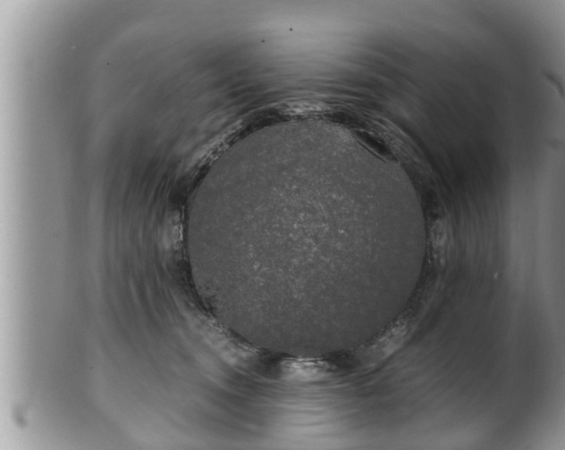 X0000102300372200808011545