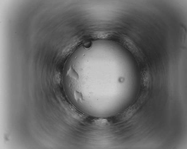 X0000102300374200808011545