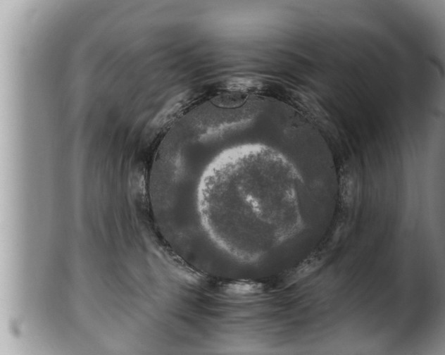 X0000102300375200808011545