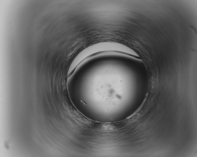 X0000102300376200808011545