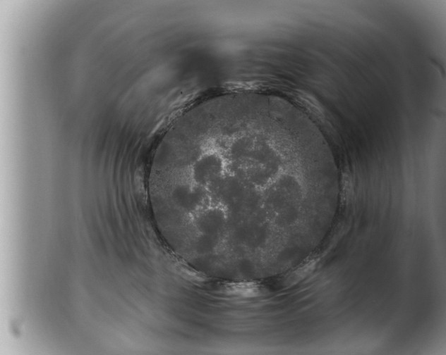 X0000102300377200808011545