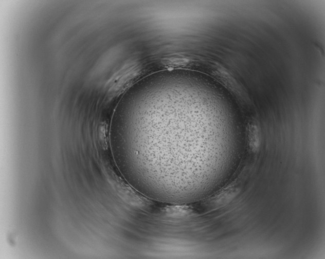 X0000102300378200808011545