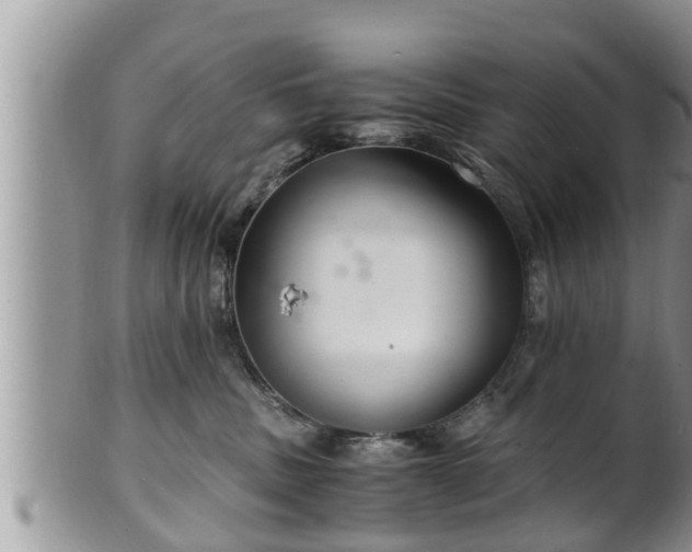 X0000102300379200808011545