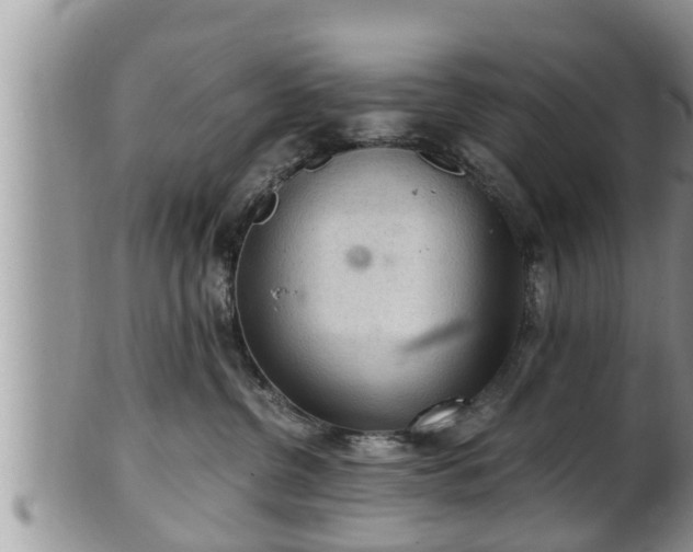 X0000102300380200808011545