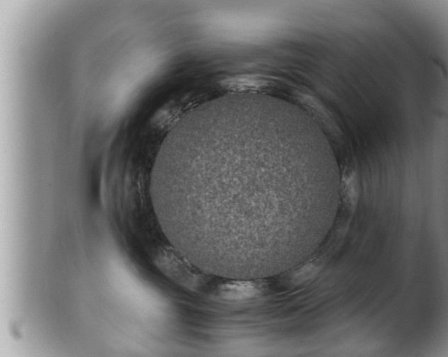 X0000102300381200808011545