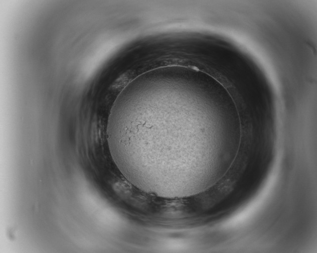 X0000102300382200808011545