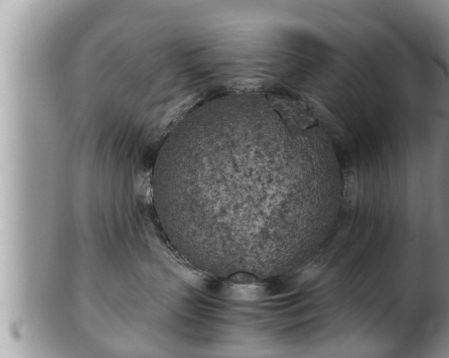 X0000102300383200808011545