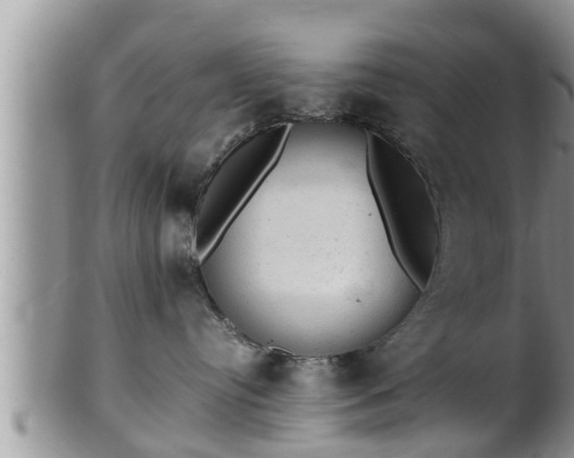 X0000102300384200808011545