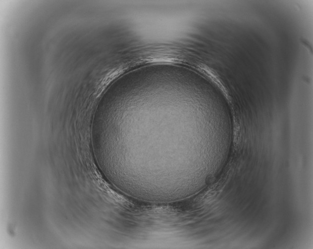 X0000102300385200808011545