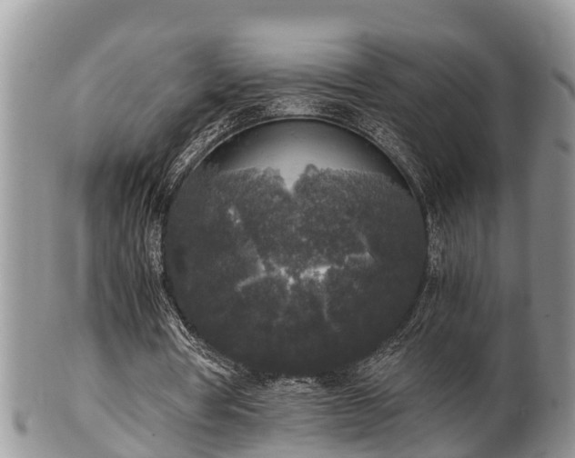 X0000102300386200808011545