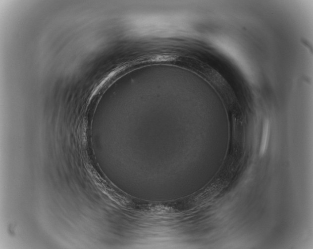 X0000102300387200808011545