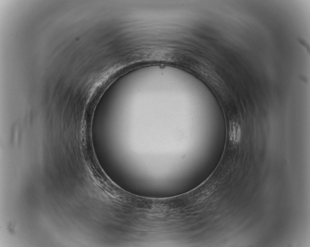 X0000102300388200808011545