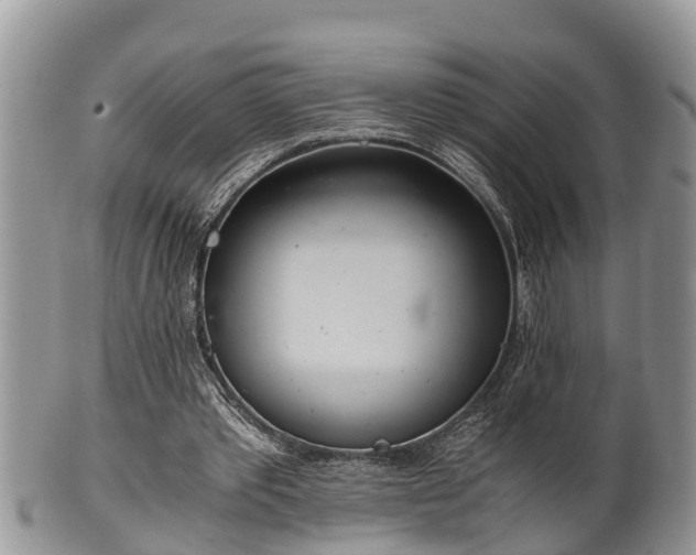 X0000102300389200808011545