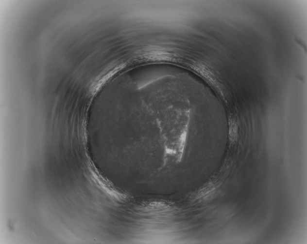 X0000102300390200808011545