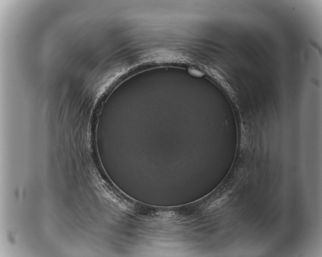 X0000102300391200808011545