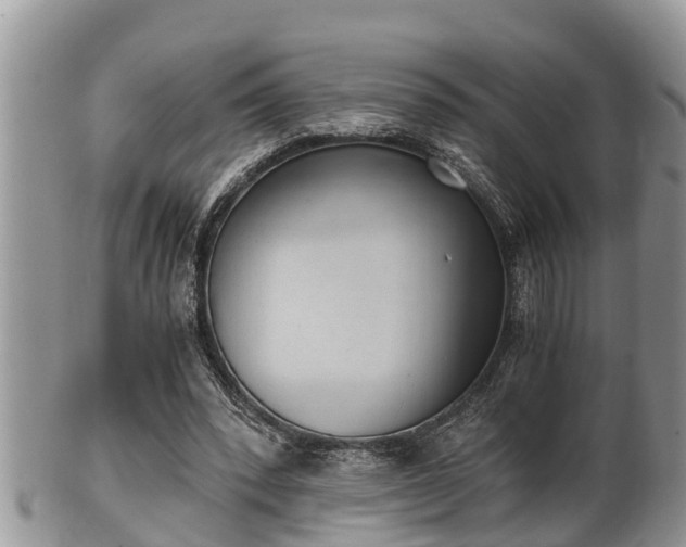 X0000102300392200808011545