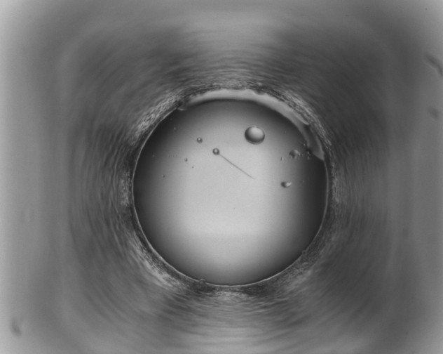 X0000102300393200808011545