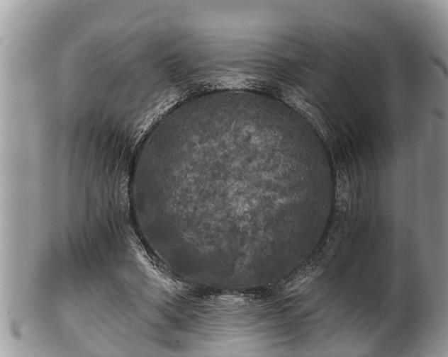 X0000102300394200808011545