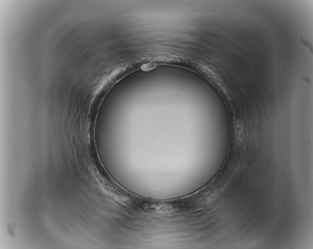 X0000102300395200808011545