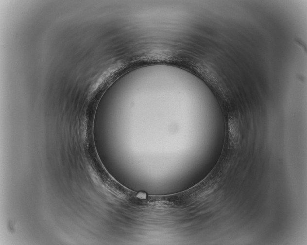 X0000102300396200808011545