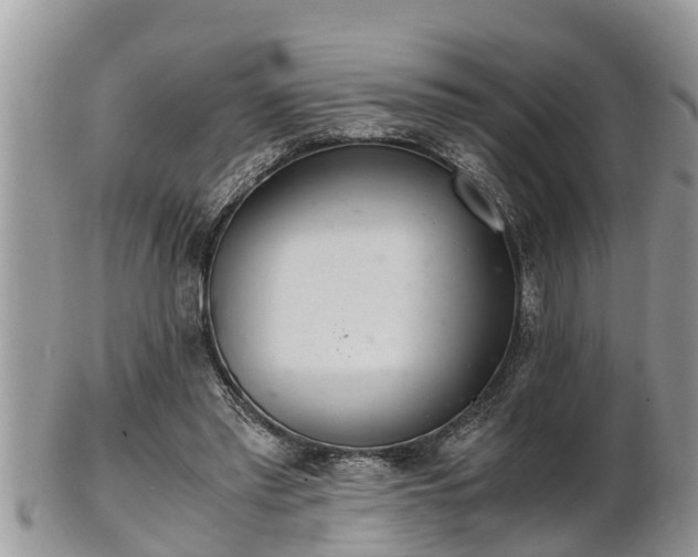 X0000102300397200808011545