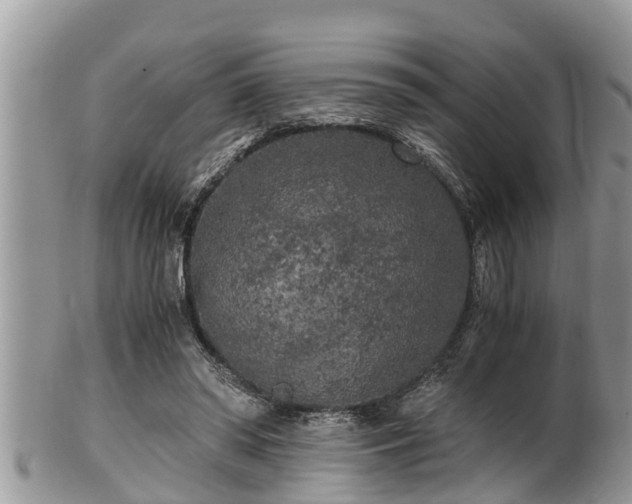 X0000102300398200808011545