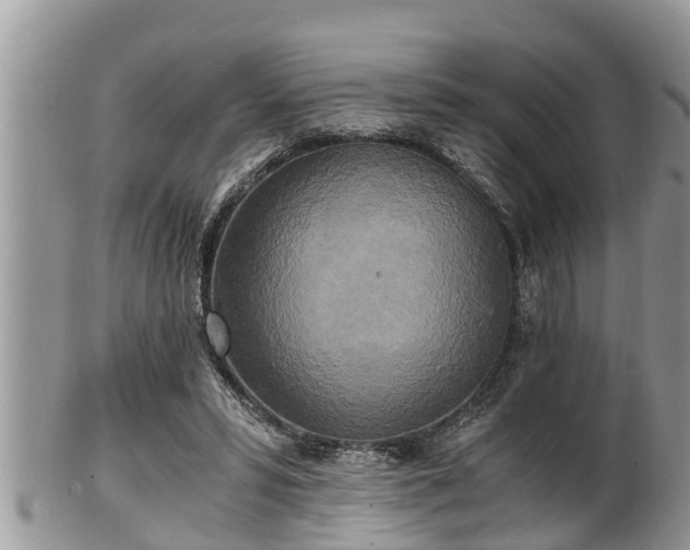 X0000102300399200808011545