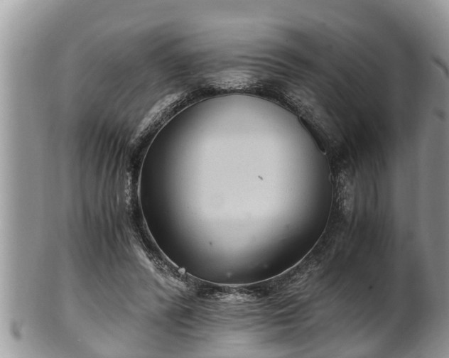 X0000102300400200808011544