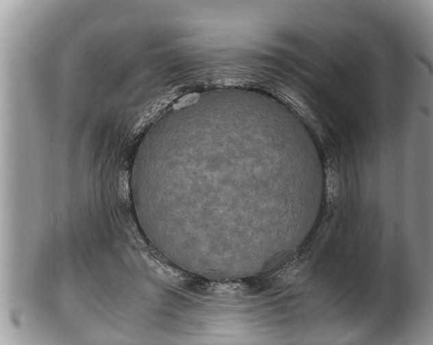 X0000102300401200808011544