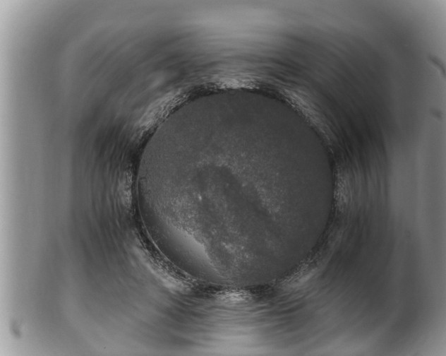 X0000102300402200808011544