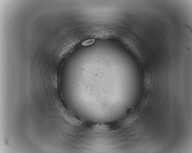 X0000102300403200808011544