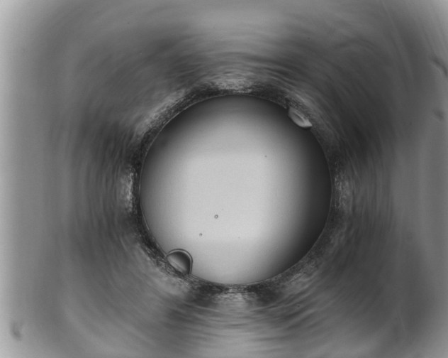 X0000102300404200808011544